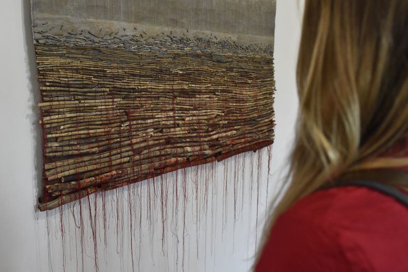 CURATORIAL TOURS: TRANSFIGURATIONS OF NATURE | LIGHT AND TEXT
