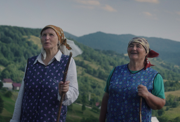 New Polish Film Competition