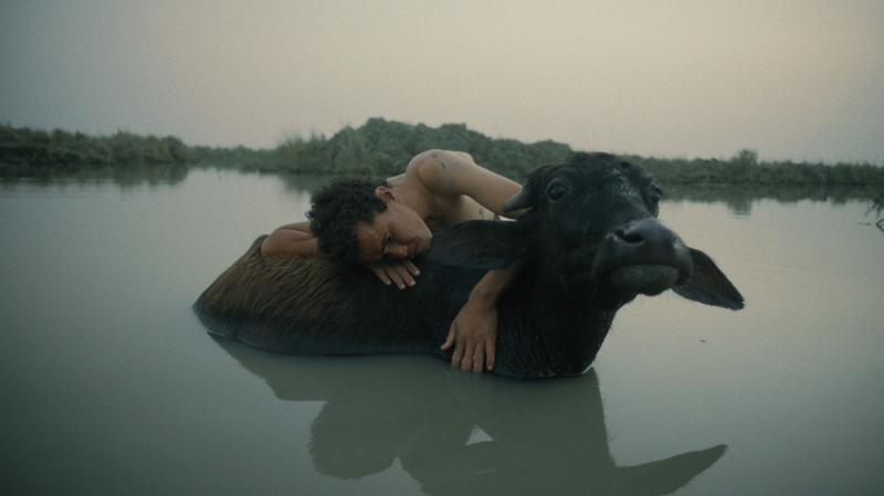 Pod którymi płyną rzeki