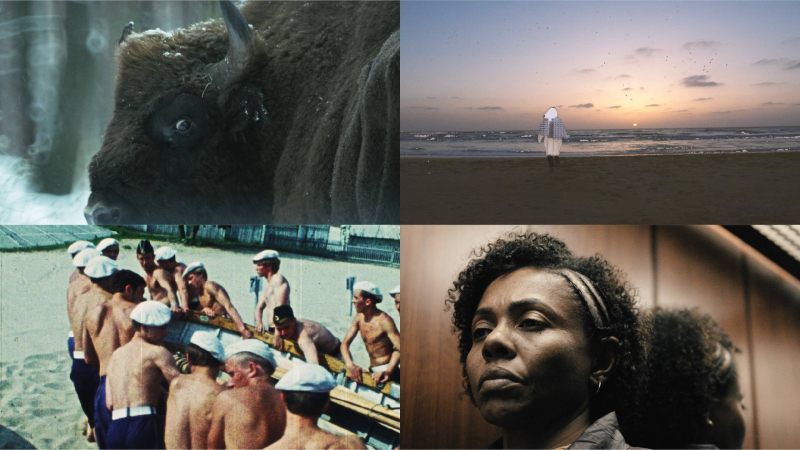 WATCH SHORTS 1 (zestaw)