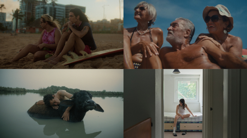 WATCH SHORTS 2 (zestaw)