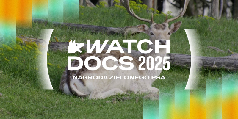 Pokaz zwycięskiego filmu w Zielonym Konkursie – Divia